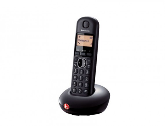 PANASONIC - CORDLESS PHONE KX-TGB212CX1_OE