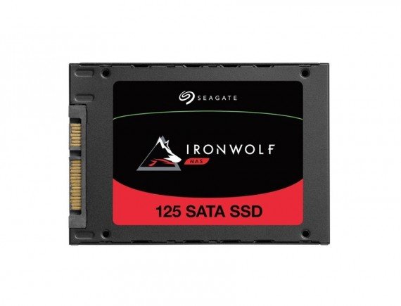 SEAGATE IRONWOLF 125 + rescue 2.5