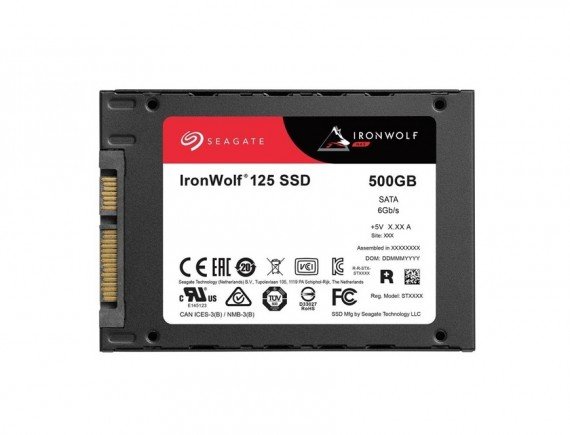SEAGATE IRONWOLF 125 + rescue 2.5