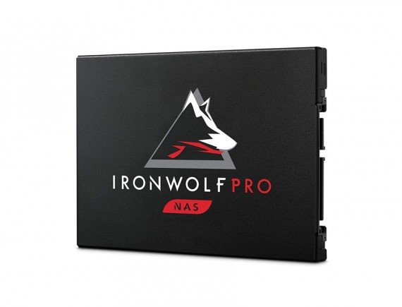 SEAGATE IRONWOLF PRO 125 SSD+ Rescue 3.5