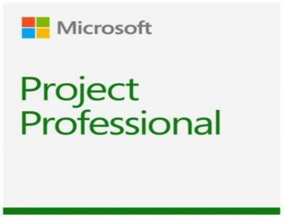 Microsoft Project Pro 2021 Win All (H30-05939)