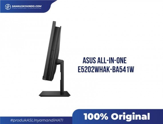 Asus AIO E5202WHAK-BA541W [i5-11500B 4G 1TB WIN 11 Home]