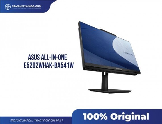 Asus AIO E5202WHAK-BA541W [i5-11500B 4G 1TB WIN 11 Home]