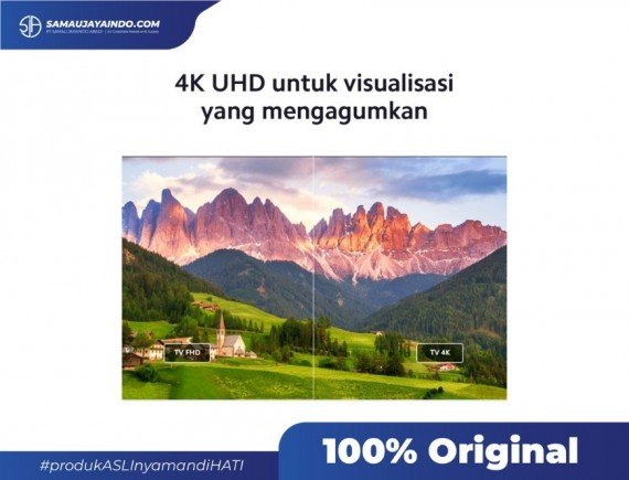 XIAOMI - Mi TV 65 P1E 4k 