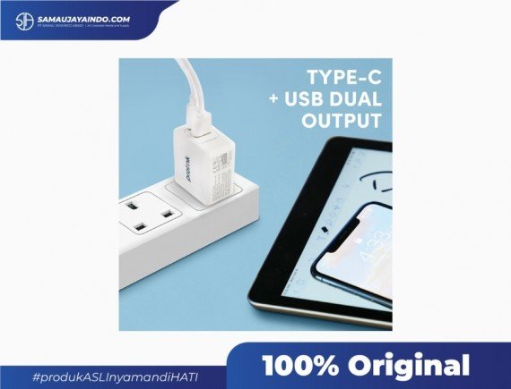 PROLINK 2-Port USB 20W - PTC21801
