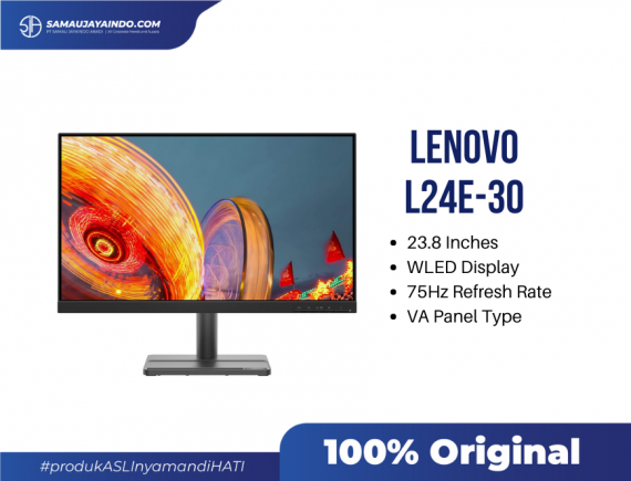 Lenovo L24e-30 23.8