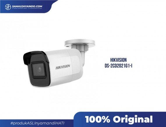 HIKVISION DS-2CD2021G1-I