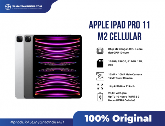 Apple iPad Pro 11 M2 1TB CELLULAR