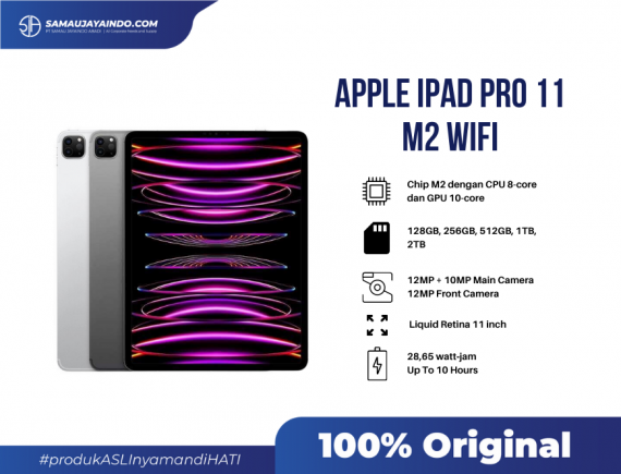 Apple iPad Pro 11 M2 2TB WIFI