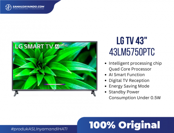 LG TV 43